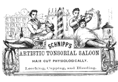 Picture: Hair Cut Physiologically